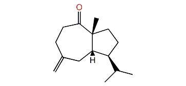 Salvial-4(14)-en-1-one